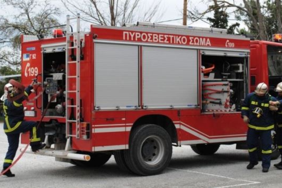  Πέλλα: Φωτιά σε ποιμνιοστάσιο στον οικισμό Βρυτά, στην Έδεσσα, έκαψε 30 πρόβατα
