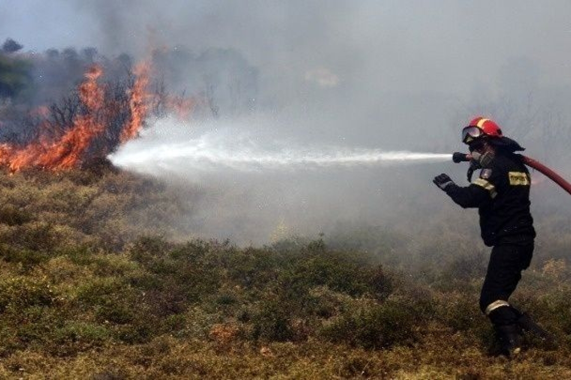 Καβάλα: Φωτιά σε δασική έκταση στο δήμο Παγγαίου