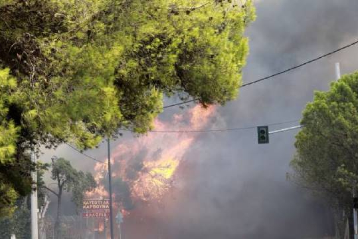 Πάνω από 40 οι αναζωπυρώσεις στο μέτωπο της φωτιάς - Πνέουν άνεμοι οκτώ μποφόρ
