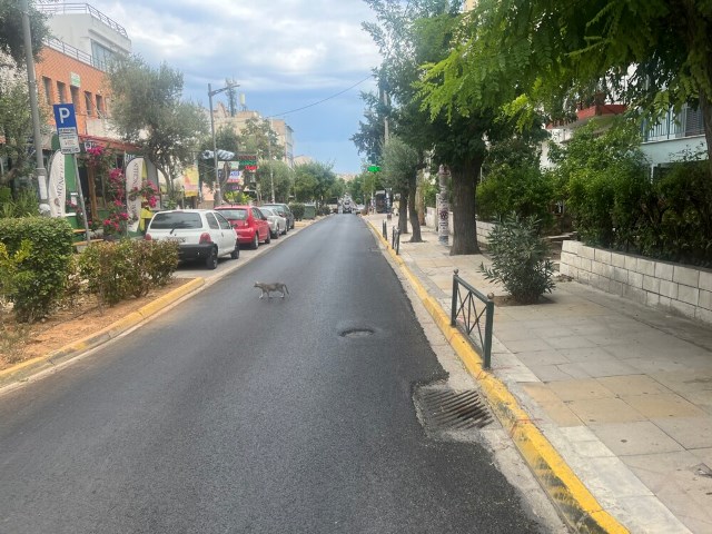 photo-dromos-marousi-2-1000x750.jpg